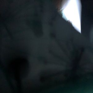 Meet your Posher, Angel